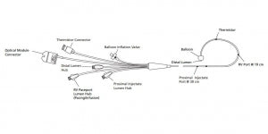 Edwards Lifesciences Swan-Ganz 4-Lumen Catheters - Swan-Ganz Paceport ...