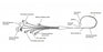 Edwards Lifesciences Swan-Ganz Pulmonary Artery Catheters - Swan Ganz Continuous Cardiac Output Catheter with SvO2, 7.5 Fr, 110 cm - 744F75