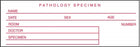 Centurion Centurion General Laboratory Preprinted Labels - White Pathology Specimen Tape 1.5" x 500" Label - W804R