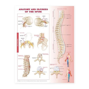 Wolters Kluwer Anatomy and Injuries of the Spine Chart - Anatomy and Injuries of the Spine Chart, Laminated - 9780781786676