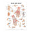 Wolters Kluwer Hand and Wrist Anatomical Chart - Hand and Wrist Anatomical Chart, Laminated - 9781587791420