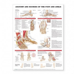 Wolters Kluwer Anatomy and Injuries of the Foot and Ankle Chart - Anatomy and Injuries of the Foot and Ankle Chart, Paper - 9781587798375