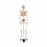 Wolters Kluwer Mr. Thrifty Skeleton Models - Mr. Thrifty Skeleton - WCP-1