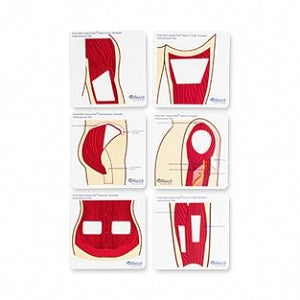 Wallcur Practi-Mini Anatomical Template - TEMPLATES, ANATOMICAL, PRACTI-MINI, ST/6 - 577MT