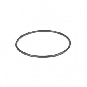 DWK Life Sciences Wheaton Silicone O-Ring - SILICONE O-RING, VAC DESCICCATOR, 100MM - 366022