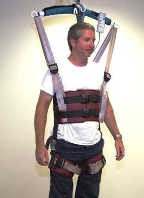 EZ Way Walking Harness