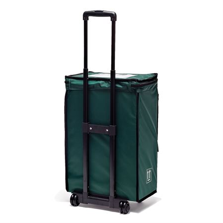 Wheeled Medication Transport Tote 9.5"D x 15.5"W x 22"H, Green