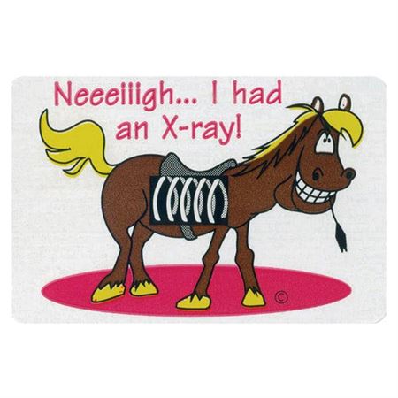 Award Stickers X-Ray Horse