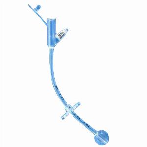 Gastrostomy Feeding Tube