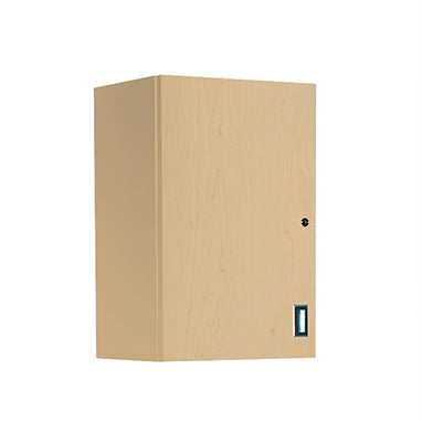 MedValue Wall Cabinet with Locking Door, 18 Inch