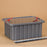 MedValue Deluxe Lid w/ Security Seal Holes for Divider Boxes