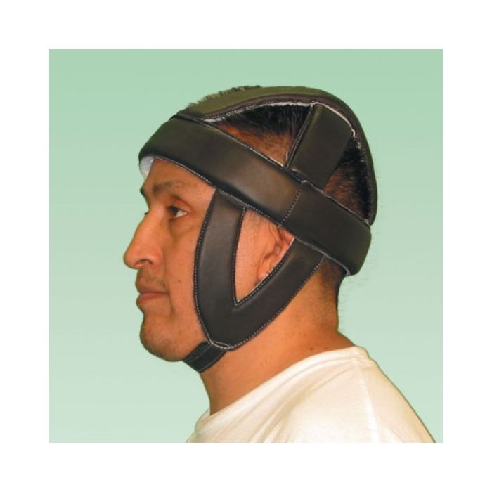 FEI Head Protector