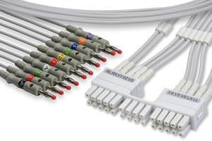 Cables & Sensors EKG Leadwires - LEADWIRE, BURDICK, EKG, 10 LEADS, BANANA - LMT10-LB0