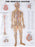 North Coast Medical Anatomical Wall Charts, Vinyl-Laminated