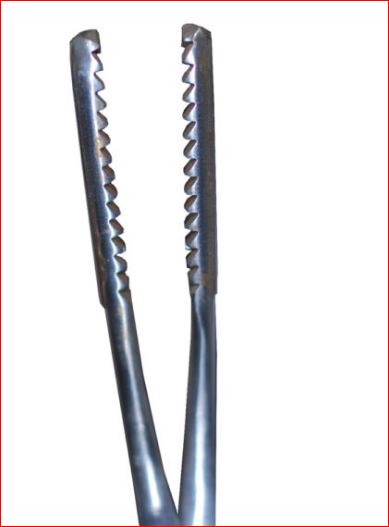 Forceps