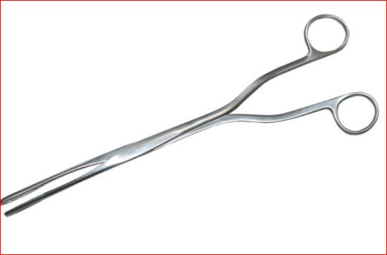 Forceps