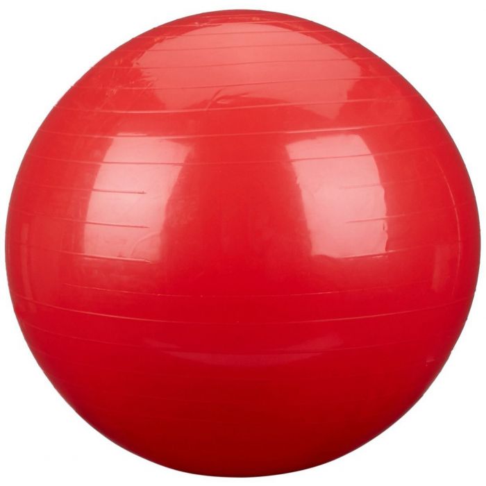 Rolyan Energizing Exercise Balls