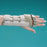 Rolyan In-Line Splint