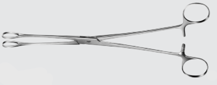 Aesculap Sponge Forceps - FORCEP, SPONGE, SMOOTH JAWS, STRAIGHT, 9.5" - BF120R