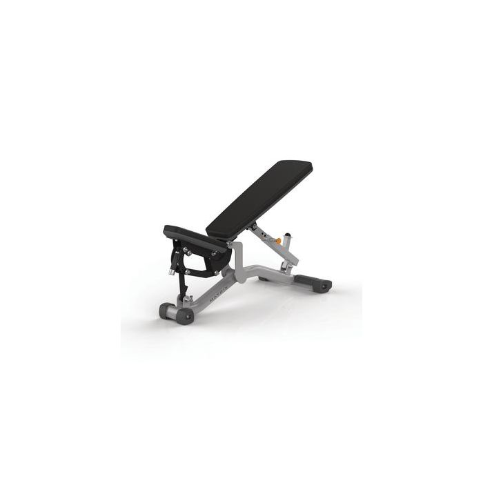 Matrix Magnum Series Weight Benches