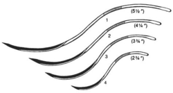 Postmortem Suture Needle