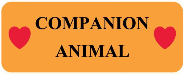 Medical Use Labels - COMPANION ANIMAL, Clinical Care Product, 2-1/4" x 7/8"