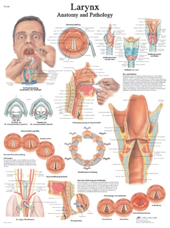 Reference Materials